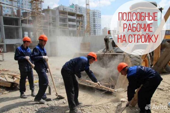 Разнорабочие оплата ежедневная