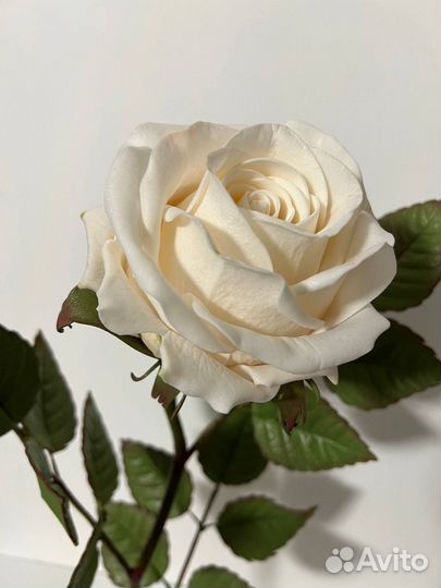 Светильник роза