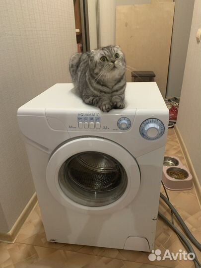 Стиральная машина Candy