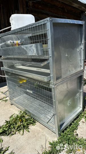 Клетки для перепелов