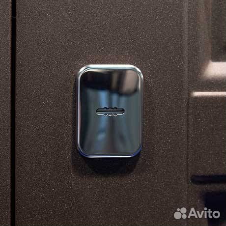 Дверь с терморазрывом Винтер 100