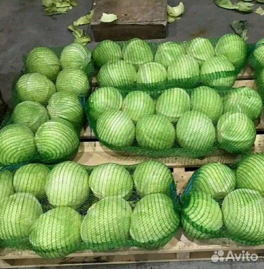 Капуста оптом сетевое качество без посредников