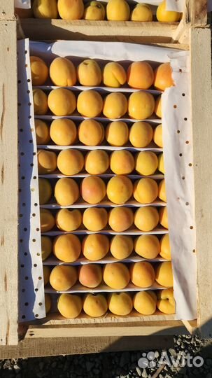 Овощи фрукты