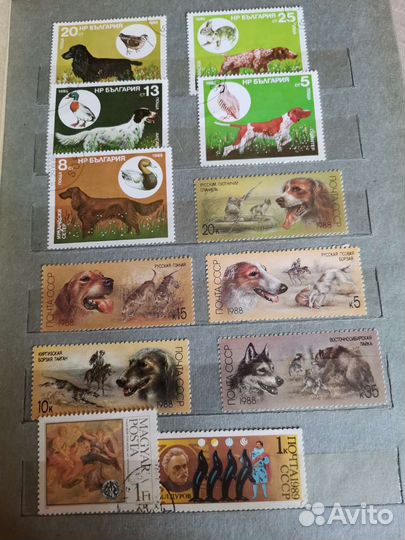 Альбом и марки