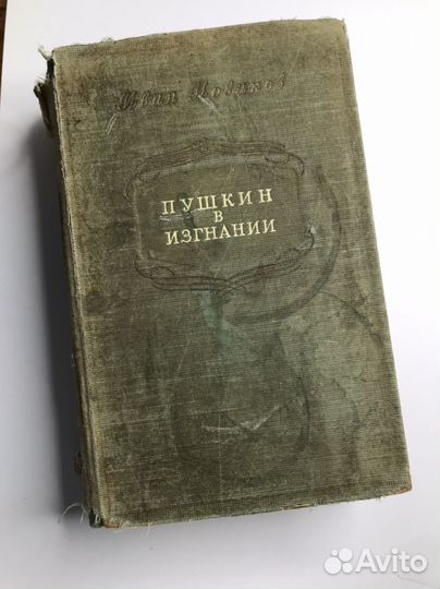 Новиков Пушкин в изгнани