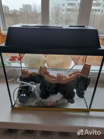 Аквариум