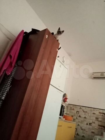 3-к. квартира, 52 м², 1/1 эт.