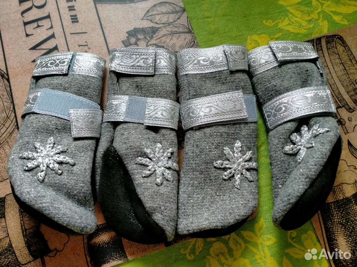 Одежда для средних собак