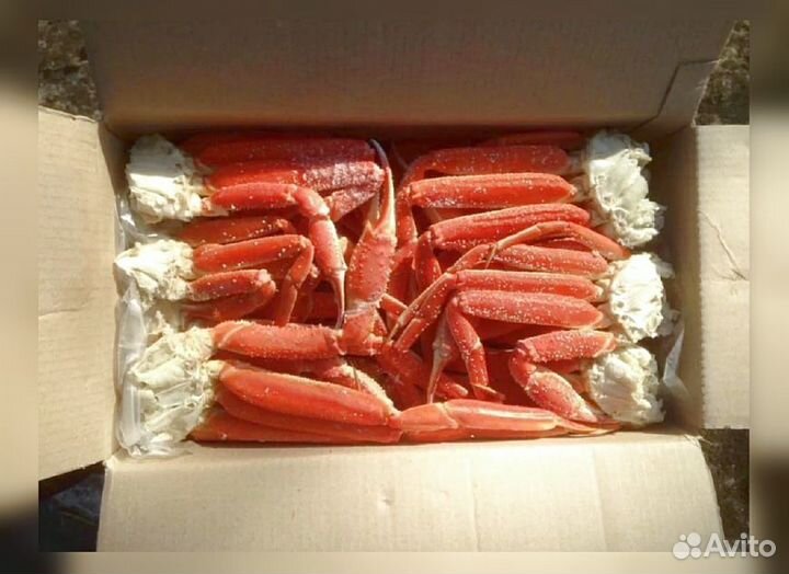 Конечности краба стригуна