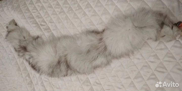 Воротники,шапки из меха Норки Песца для реставраци