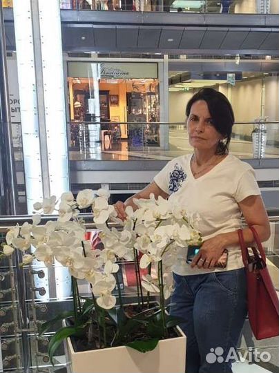 Репетитор по русскому языку и литературе