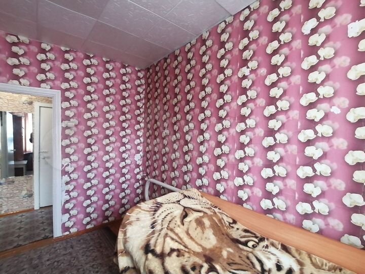 Дом 59 м² на участке 4 сот.