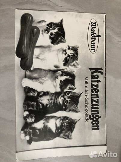 Фотокартина