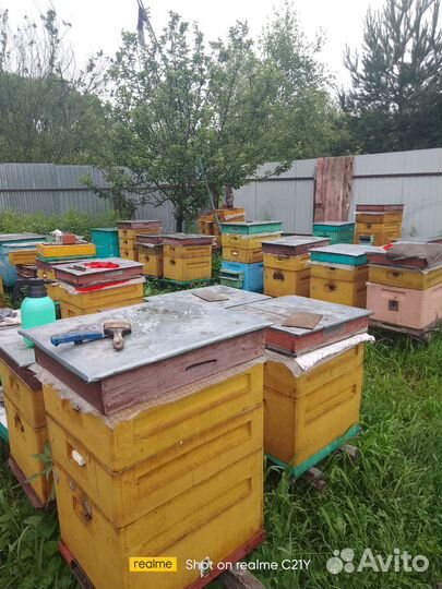 Продается пасека