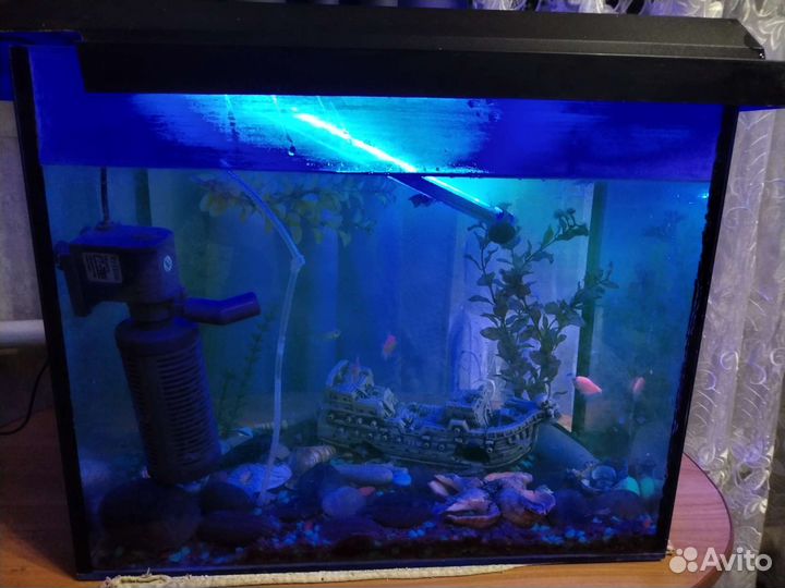 Аквариум с рыбками