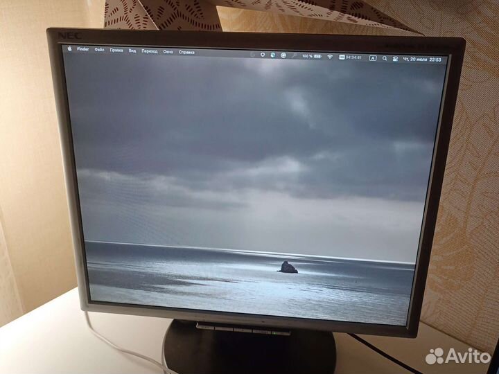 Монитор NEC MultiSync LCD 195vxm+