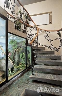 Специалист по озеленению, аквариуму. Биодизайнер