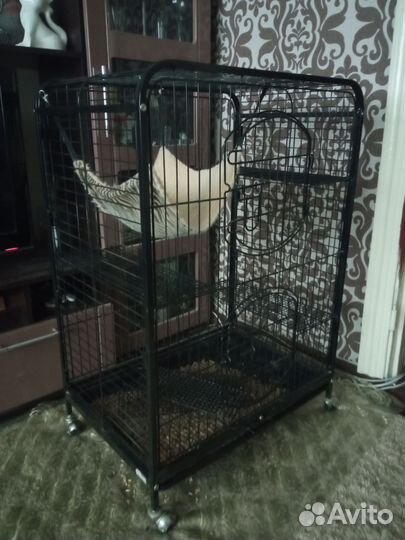 Клетка для шиншиллы бу