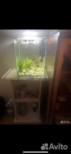 Аквариум с тумбой