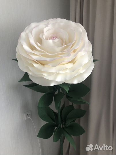 Ростовая роза