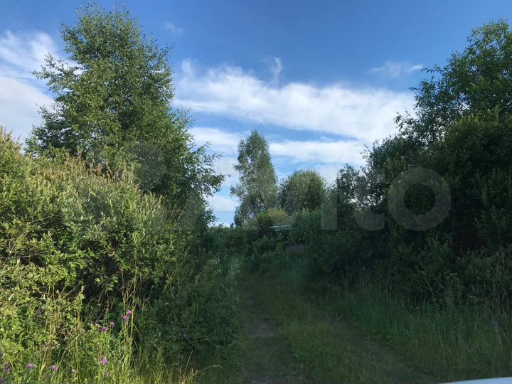 Участок 6,5 га (личное подсобное хозяйство (лпх))