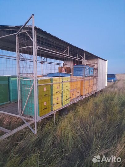 Пчелоприцеп легковой