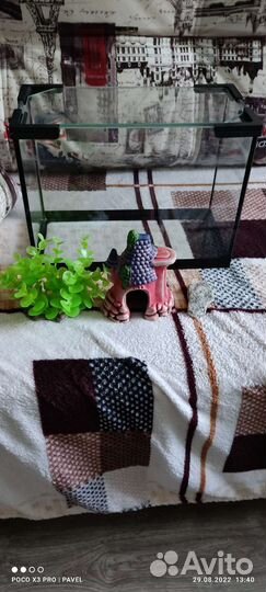 Аквариум для мелких рыб с аксессуарами