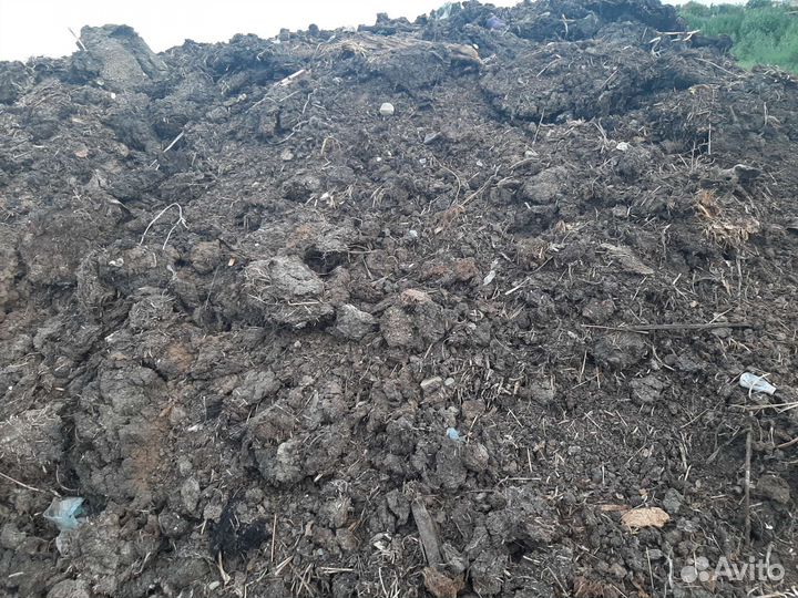 Навоз перегной бесплатно
