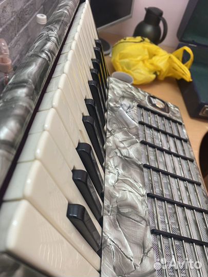 От мастера Аккордеон для детей немецкий