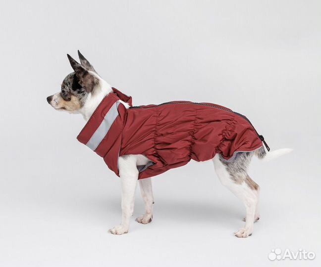 Куртка для собак мелких пород