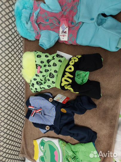 Одежда для собак