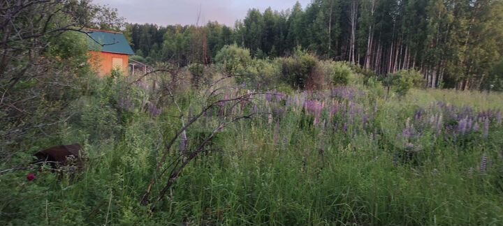 Дача 50 м² на участке 10 сот.