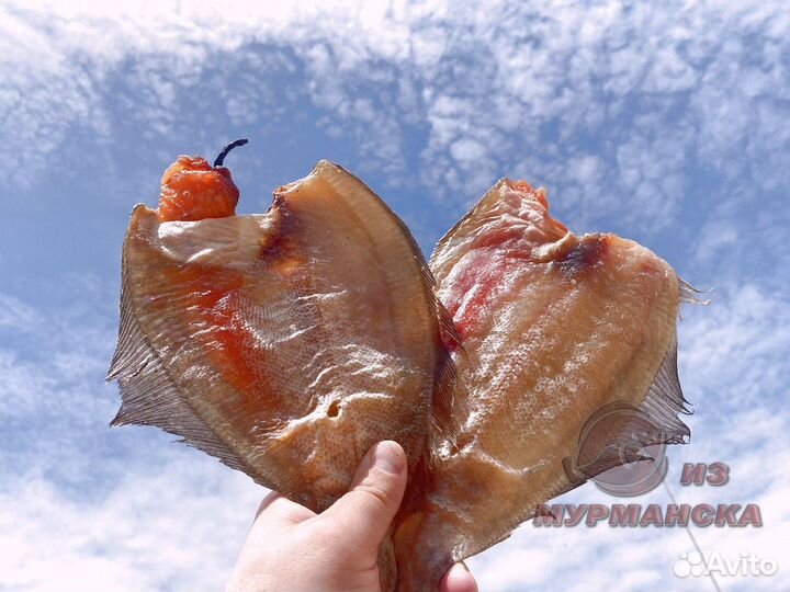 Ерш Мурманский