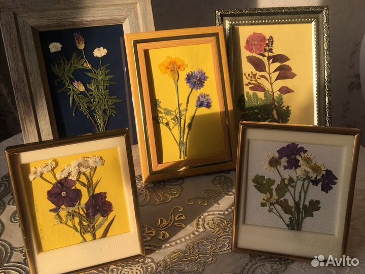 Картины из сухоцветов Ботаника