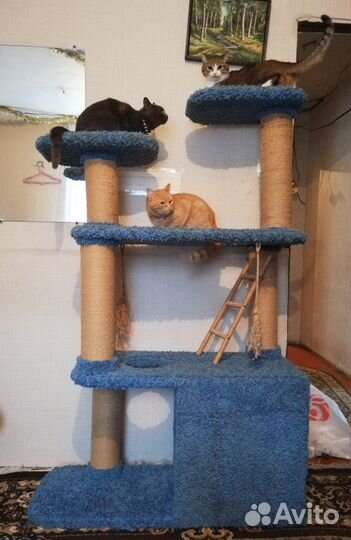 Домик для кошек