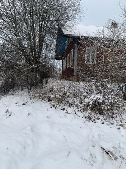 Дубки калининградская область