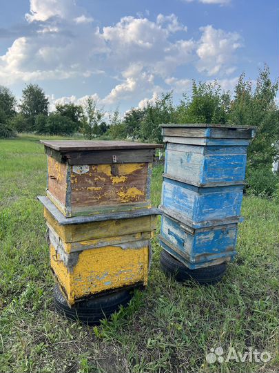 Ульи для пчел