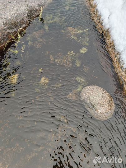 Туры териберка Экскурсия Мурманск