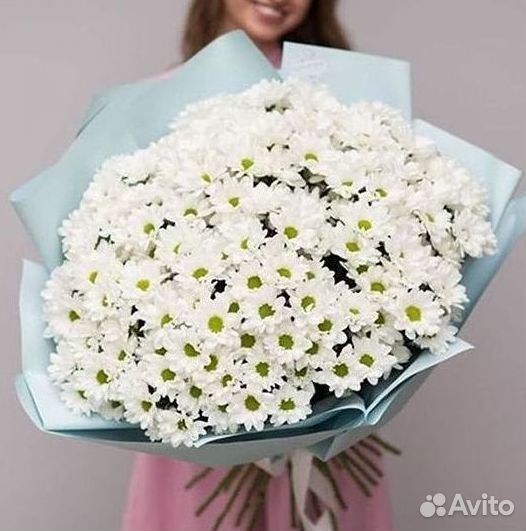 Доставка букетов и цветов. Хризантема