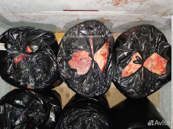 Мясо говядина для собак