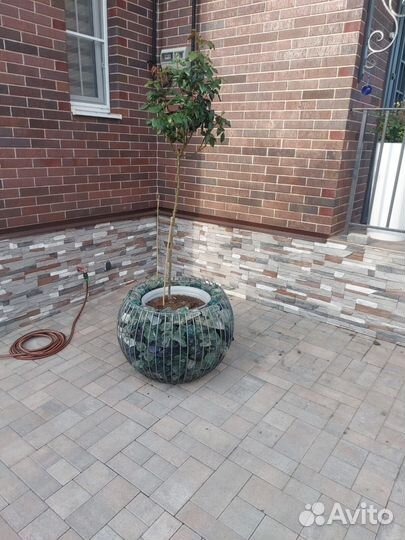 Уличные вазоны