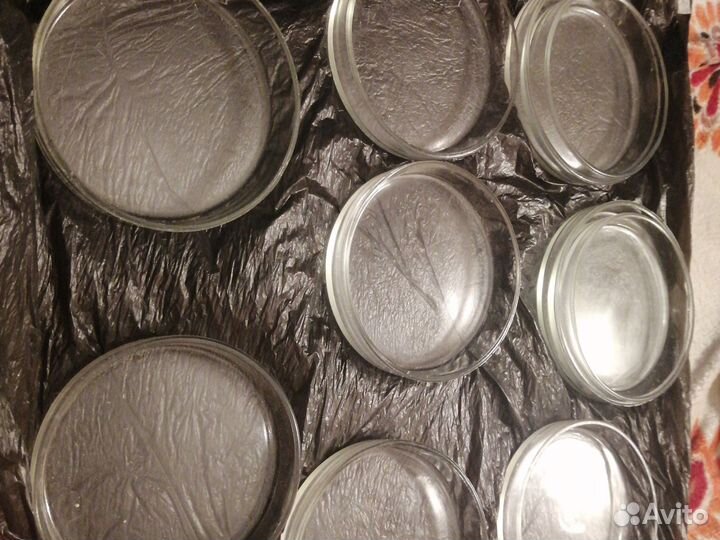 Чашка петри