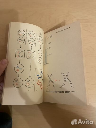 Шредингер: Что такое жизнь 1972г