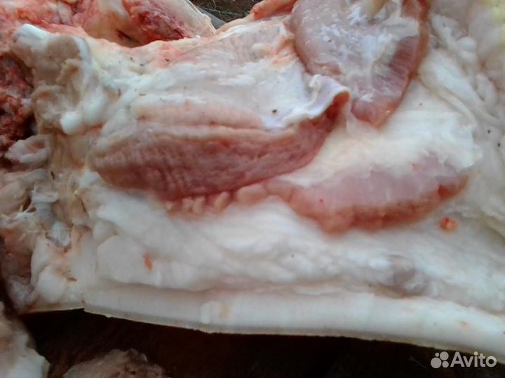 Продаю домашнее мясо свинины