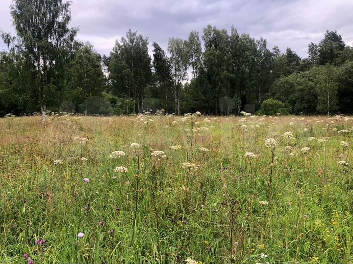 Участок 1,7 га (СНТ, ДНП)