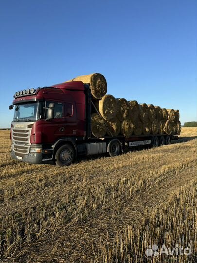 Солома овсяная