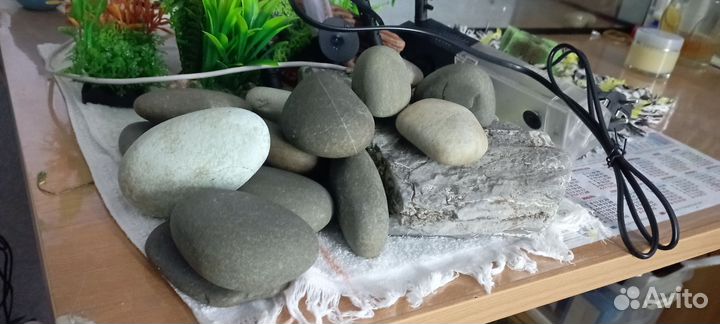 Грунт для аквариума