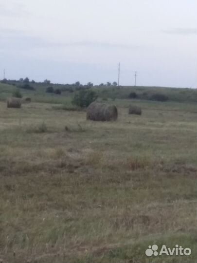 Сено луговое в рулонах