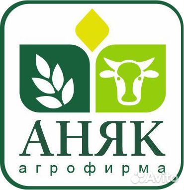 Ветеринарный врач