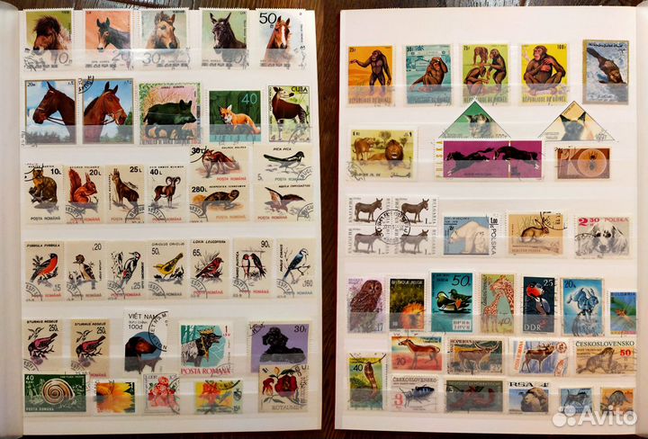 Старые Марки в Новом Альбом фауна и флора